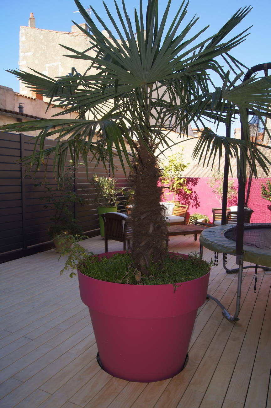 Insertion plante dans terrasse bois